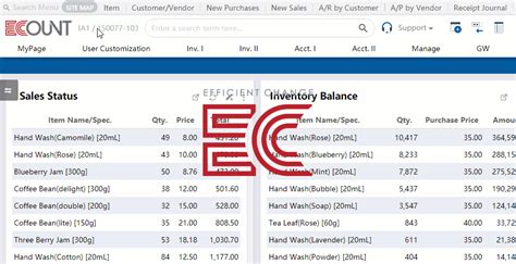 erp system ecount erp