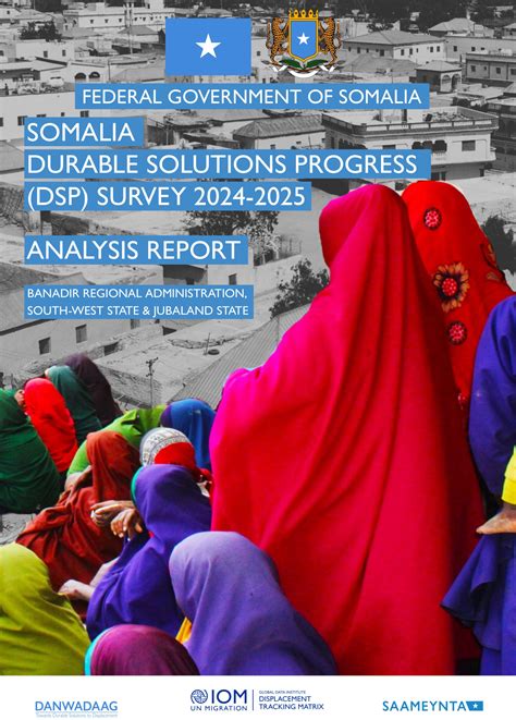 SOMALIA DURABLE SOLUTIONS PROGRESS (DSP) SURVEY 2024-2025 _ ANALYSIS
