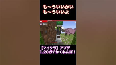 【マイクラ】かくれんぼ👀みっけ Shorts ドズル社 Youtube