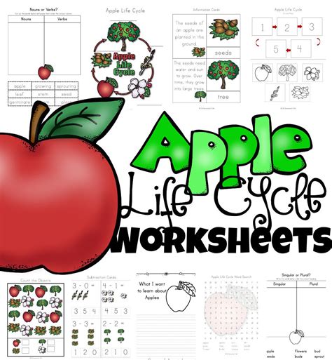 Printable Apple Life Cycle