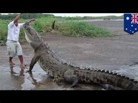 Australian Crocodile Attacks