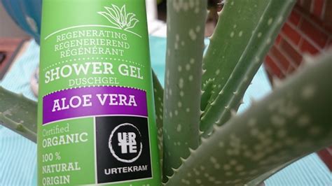 Duschgel Aloe Vera Shower Gel Oragnic Von Urtekram Bioelade