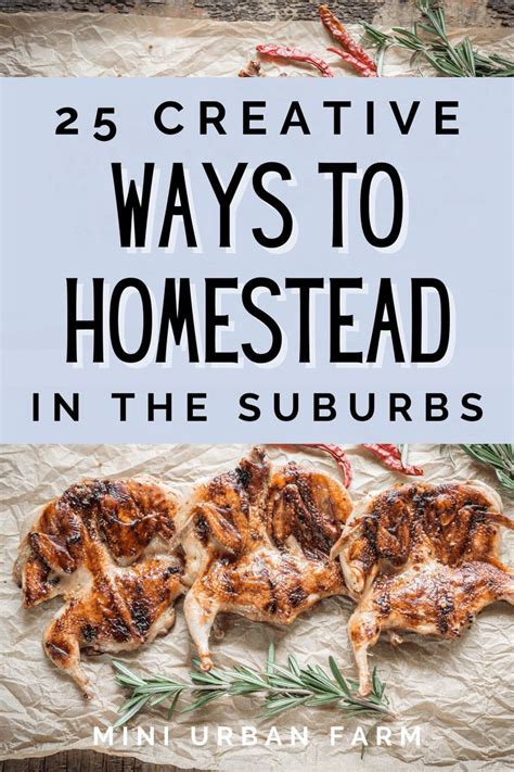 Creative Ways To Homestead In The Suburbs