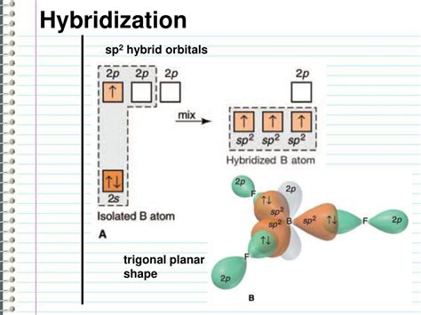 Trigonal Planar Hybridization