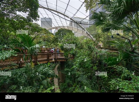 Aviary park hong kong hi-res stock photography and images - Alamy