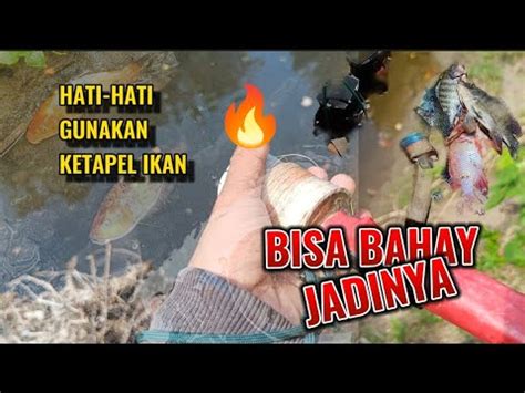 HATI HATI MUSIM KEMARAU MENGINTAI SPOT SUNGAI MAKIN MANTAP