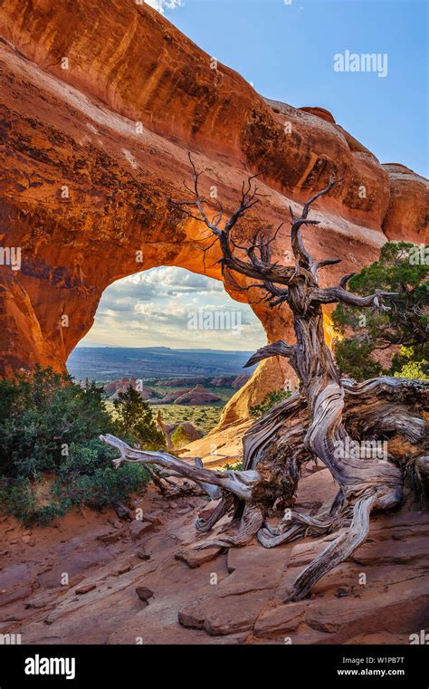 Arches National Parc Utah USA Stock Photo Alamy