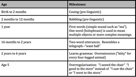 Chapter 10 Vocab: Thinking and Language Diagram | Quizlet