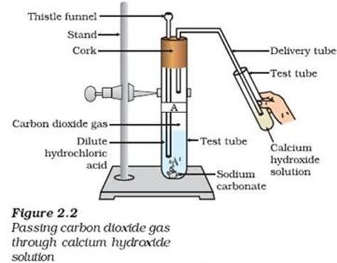 Chemistry X Acids Bases And Salts How Do Metal Carbonates And