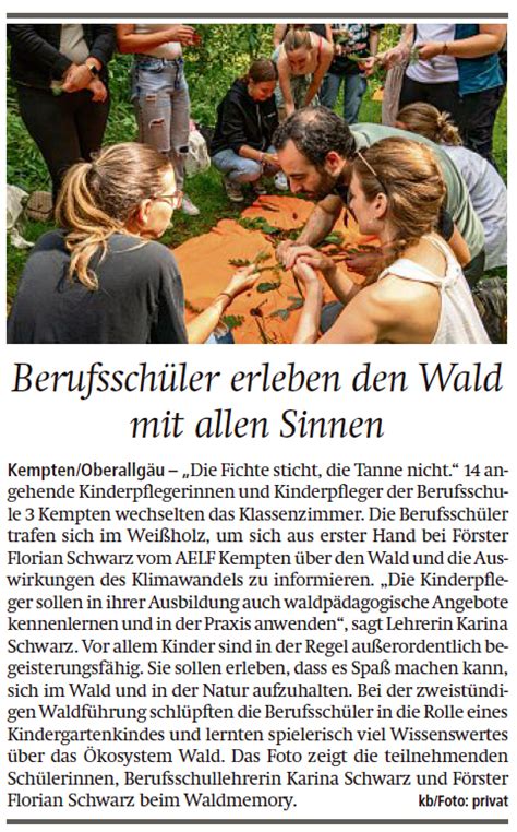 Den Wald Mit Allen Sinnen