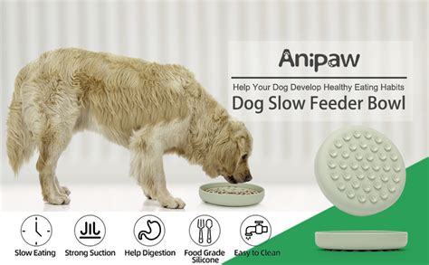 Anipaw Cuencos De Alimentaci N Lenta Para Perros Laberinto De