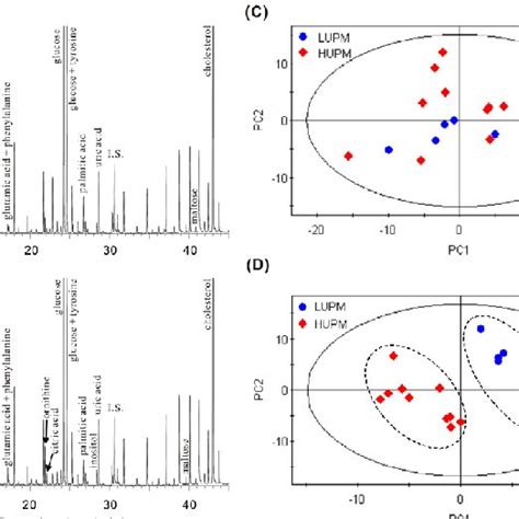 Representative Serum Gc Ms Tic Chromatograms And The Scores Plots Of Download Scientific