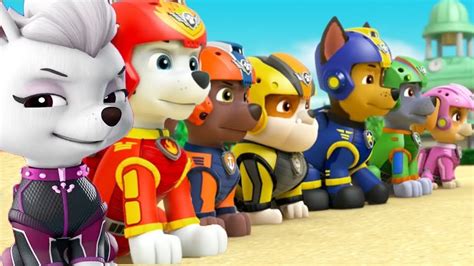 Paw Patrol Mission Paw New Pups Team Chase Rubble Skye Training Day