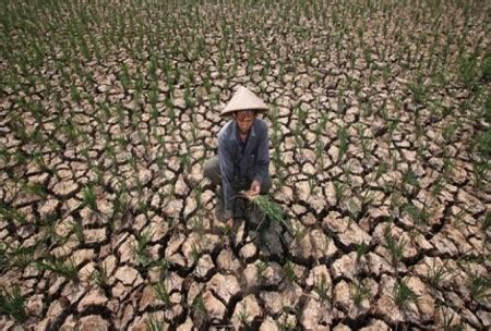 Kupas Tuntas Kekeringan Dan Terancam Gagal Panen Melanda Sejumlah