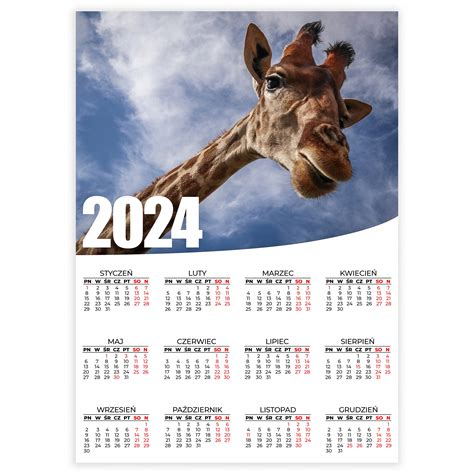 KALENDARZ ŚCIENNY 2024 50x70cm ŻYRAFA GIRAFFE DZIKIE ZWIERZĘ Wz