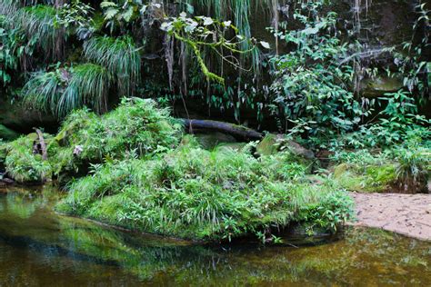 Encorto Tres Claves Para Entender Los Acuerdos Rec Procos De Agua