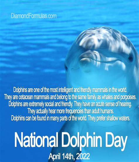 Happy National Dolphin Day! - Diamond Formulas