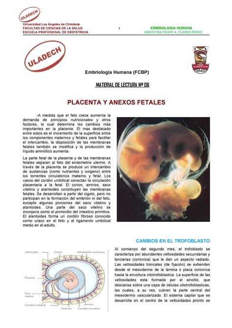 Placenta Y Membranas Fetales Facultad De Ciencias De La Salud