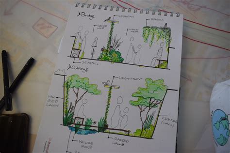 Urban rewilding aesthetics and people's needs into multifunctional blue