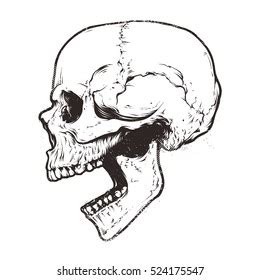 Skull Open Mouth Royalty-Free Images, Stock Photos & Pictures ...