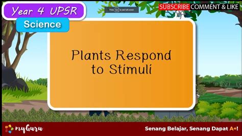 How Do Plants React To Stimuli? The 6 Top Answers - Chiangmaiplaces.net