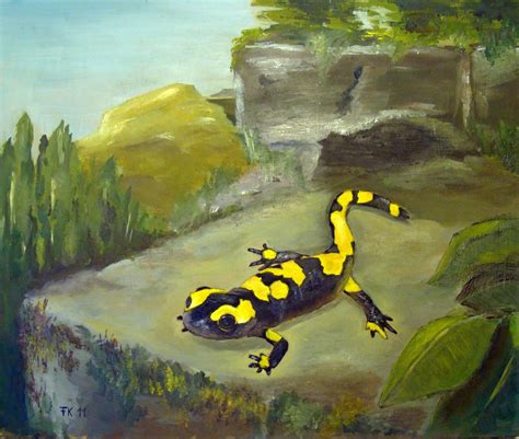 Salamander - Tiere, Salamander, Lurch, Amphibien von Zavira bei KunstNet