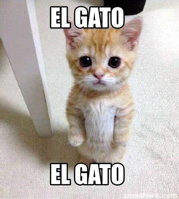 Meme Creator - Funny EL GATO EL GATO Meme Generator at MemeCreator.org!