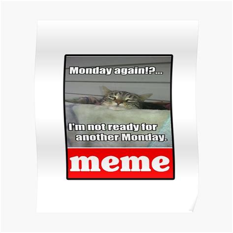 "Monday Cat - Original Funny Internet Meme" Poster for Sale by ...