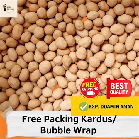 Jual Kacang Atom Satelit Palapa Kg Gr Gr Gr Kacang Atom