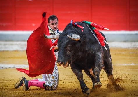 Arranca La Venta De Abonos Para La Feria Taurina Del Corpus Ideal