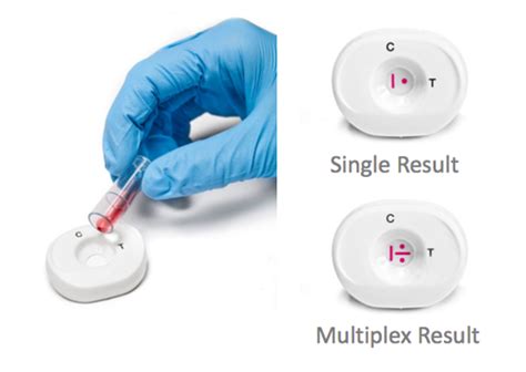 Vertical Flow Assay Development Cytodiagnostics Inc