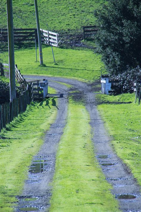 Country Road Photograph By Pauline Darrow Fine Art America