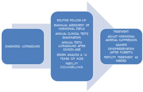 Testicular Adrenal Rest Tumors Epidemiology Diagnosis And Treatment