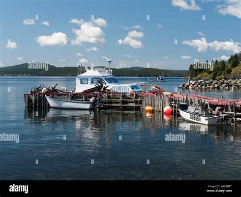 Canada Newfoundland Dildo Fishing Dock With Boats Stock Photo Alamy