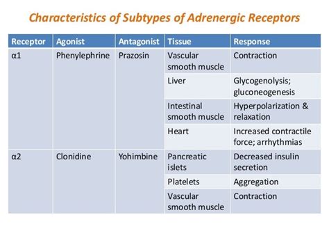 Adrenergic Receptors Chart A Visual Reference Of Charts Chart Master