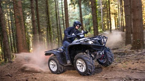 Yamaha Grizzly Th Anniversary Atv