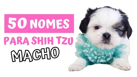 Nomes Para Shih Tzu Branco E Marrom Macho - NOMES FOFOS E ELEGANTES PARA SHIH TZU MACHO - YouTube
