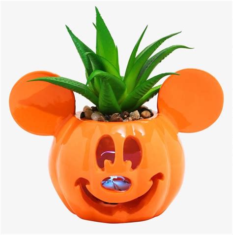 These Spooky Disney Halloween Succulents Light Up At Night