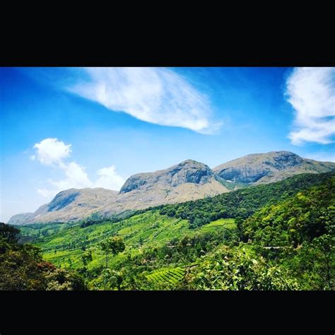 Anamudi Peak Munnar In 2020 Munnar Tourism Himalayas