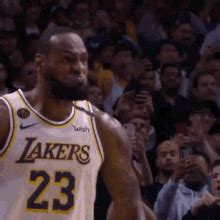 lebron james pfp lebron james profile pics