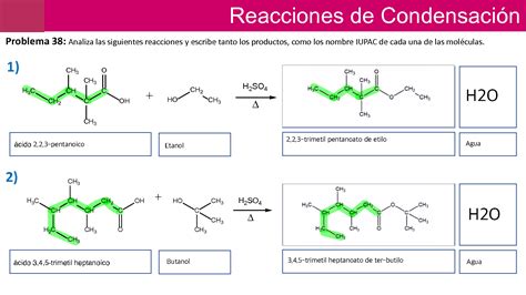 SOLUTION UNAM Reacciones oxidación y condensación Studypool