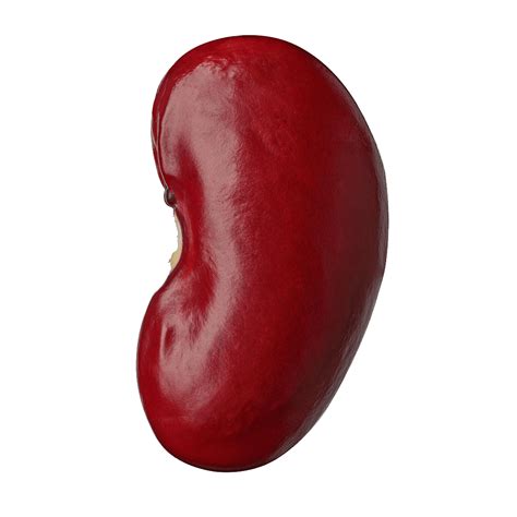 Red Kidney Beans Pedon