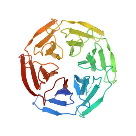 Rcsb Pdb Xm Crystal Structure Of Keap Kelch Domain Residues