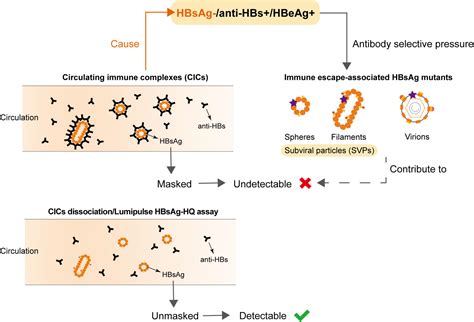 Hbs Ag Habitatcorpus Org