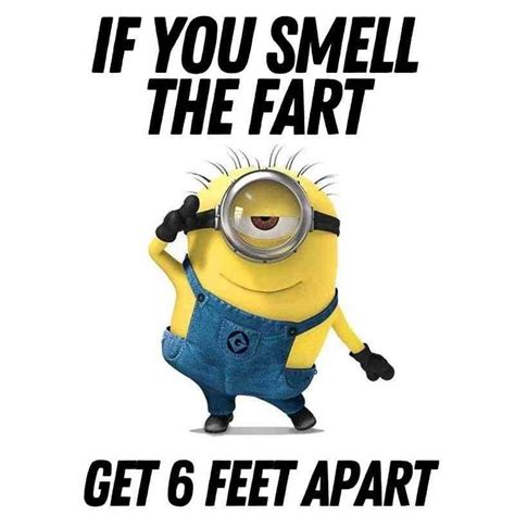 Minion Meme Discover more interesting Animation, Crazy, Cute, Funny ...