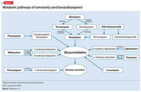 Benzodiazepine Metabolism Pathway