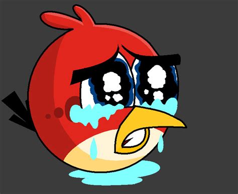 ._Angry Birds To Sad Birds_. by zombiechihuahuas13 on DeviantArt