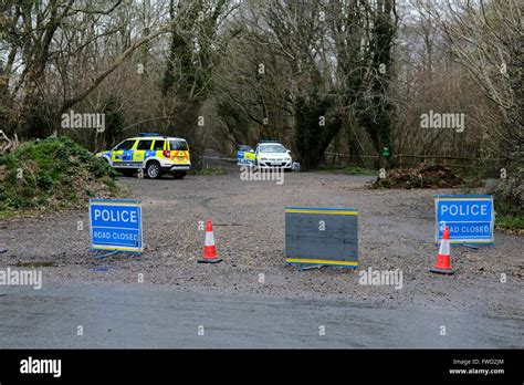 Mordverbrechen Tod Polizei Wald Fotos Und Bildmaterial In Hoher