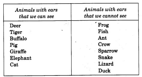 NCERT Solutions For Class 4 EVS Chapter 2 Ear To Ear Learn CBSE