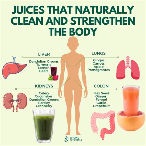 Naturally Clean And Strengthen The Body In 2024 Healthy Juicer